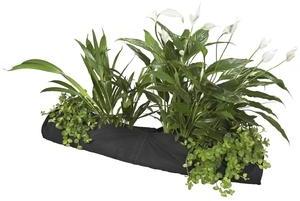 Panier à plantes aquatiques Plant Sock 10 X 80 cm Panier à plantes aquatiques