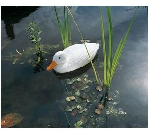 Canard sauvage blanc 38 5 cm Canard sauvage blanc 38 5