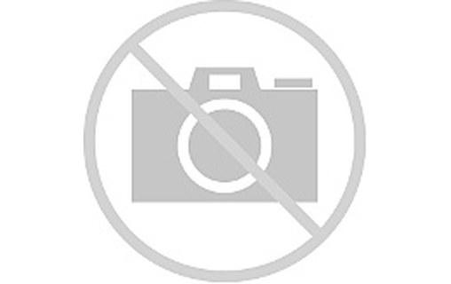 Sen.se ThermoPeanut Bleu - Thermomètre connecté -