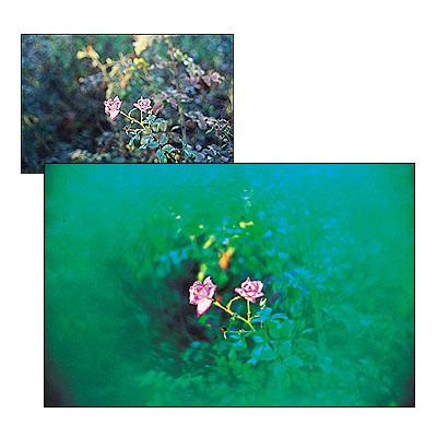 COKIN Filtre A065 Spot Center Vert (Soldes)