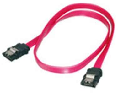 ASSMANN câble SATA - 30 cm