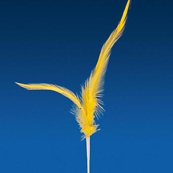 Pique décoration coloré pour glace plume 17cm - Lo