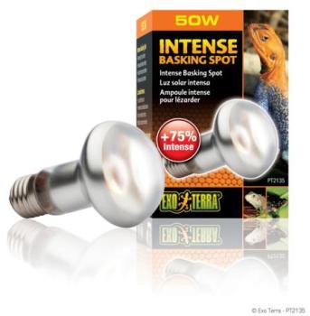 Exo Terra - Lampe Intense Basking Spot - 50W Exo Terra - Lampe Intense