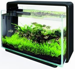 SF HOME 80 AQUARIUM WIT