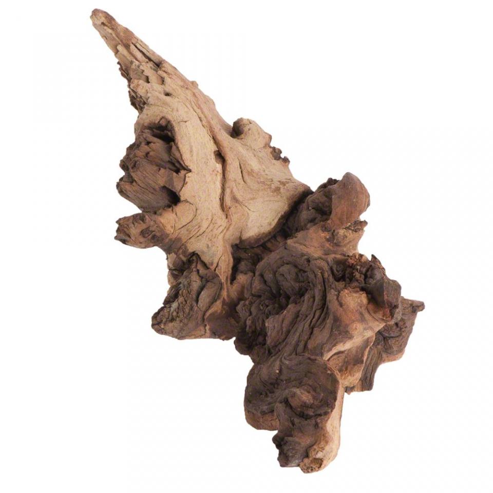 Racine en bois de Mopani S Trixie - lot % : 3 x L