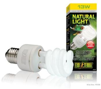 Exo Terra - Ampoule Natural Light Fluocompact pour Exo Terra - Ampoule Natural
