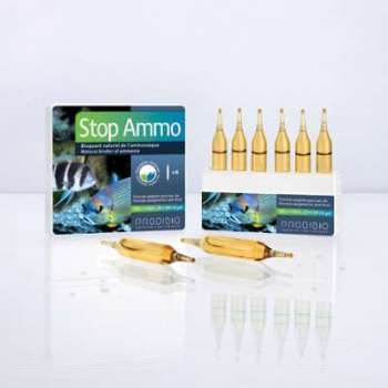 PRODIBIO - Stop Ammo 6 ampoules PRODIBIO - Stop Ammo 6 ampoules