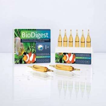 PRODIBIO - BioDigest 6 ampoules PRODIBIO - BioDigest 6 ampoules