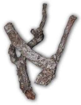 Aquavie - Branche en Liège pour Terrarium - 2Kg Aquavie - Branche en Liège