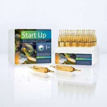 PRODIBIO - Start Up 30 ampoules PRODIBIO - Start Up 30 ampoules
