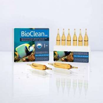 PRODIBIO - BioClean Salt 6 ampoules PRODIBIO - BioClean Salt 6
