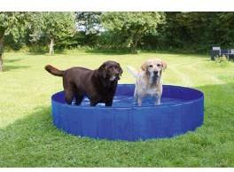 PISCINE POUR CHIEN