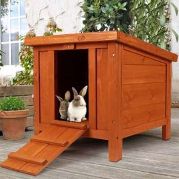 Clapier pour lapins et rongeurs en bois avec porte