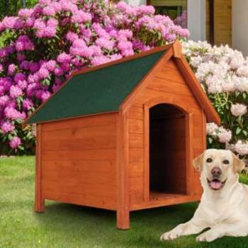 Niche pour chien en bois avec toit incliné ouvrant