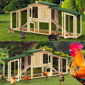 Poulailler clapier en bois double