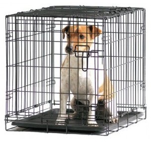 Cage cottage 61cm SAVIC 2 portes pliante métal tra
