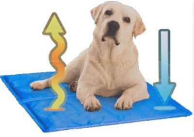 Doggy Cool Tapis Rafraîchissant pour Chien L