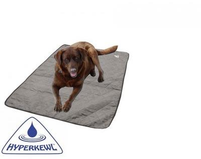 Tapis rafraîchissant pour chien