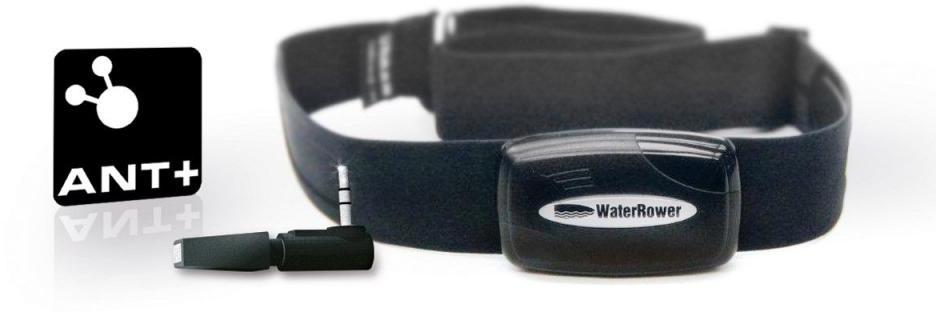 - Kit Cardio ANT Plus sans fil Interne - WATERROWE