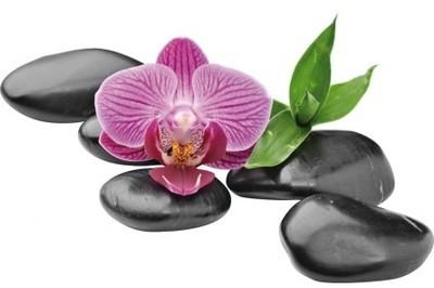 Stickers galets orchidée