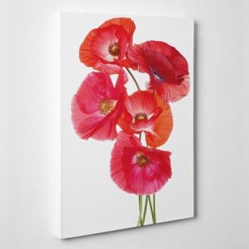Tableau toile - Coquelicots Tableau toile - Coquelicots