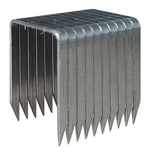 Agrafe galva T50 - 6mm (x1250) Arrow