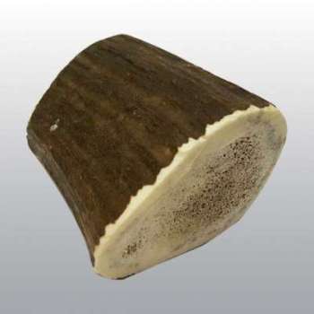 Bois de Cerf pour chien de 35Kg Bois de Cerf pour chien de