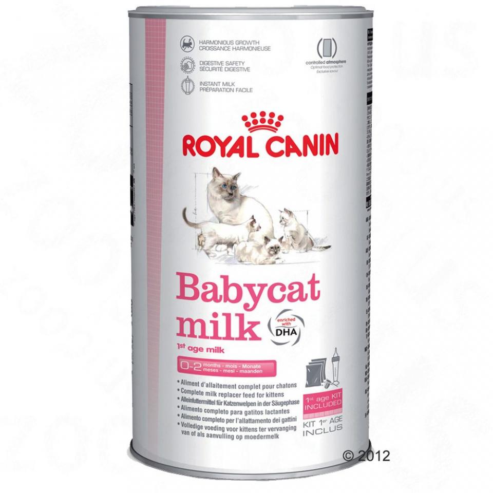 Lait maternisé Royal Canin Babycat - 3 x 100 g