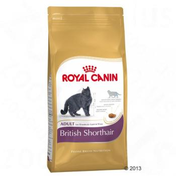 2kg British Shorthair Royal Canin pour chat 2kg British Shorthair Royal
