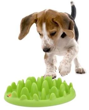 Gamelle Anti Glouton Northmate Green Karlie L 29 x