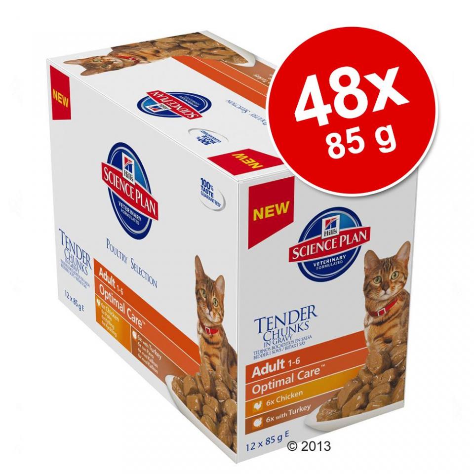 48x85g Kitten Hills Feline viande, poisson pour c