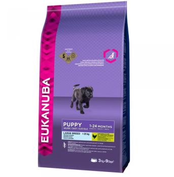 3kg Puppy Large Breed Eukanuba Croquettes pour chi