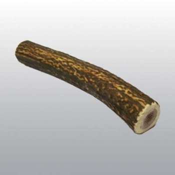 Bois de Cerf pour chien de 12Kg Bois de Cerf pour chien de