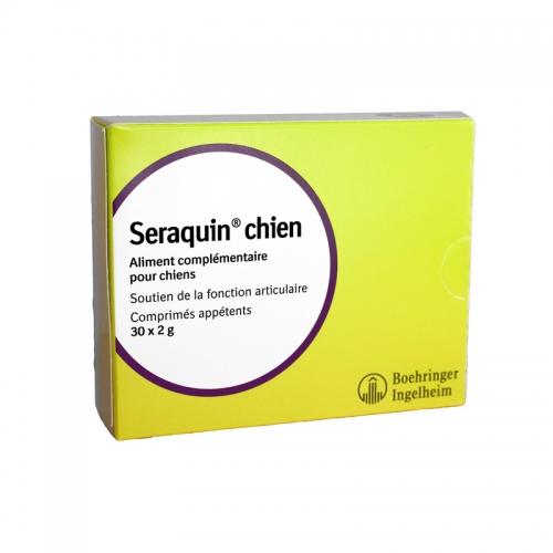 Seraquin chien
