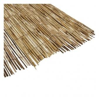 Canisse bambou naturel