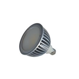 Ampoule LED par 38 E27 20W 6000K Vision El 8113