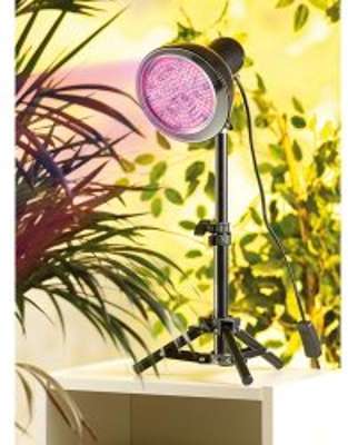 Ampoule de croissance 48 LED E27 Fast Grow Ampoule de croissance 48 LED