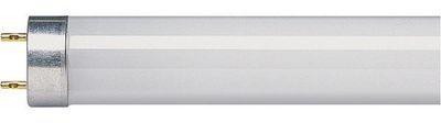 Tube fluorescent G13 - 36 W - 4000 K - Dhome