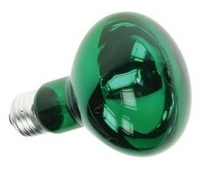 Spot couleur disco - vert 60w / r80 - PEREL