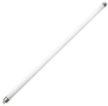 T5 14W
