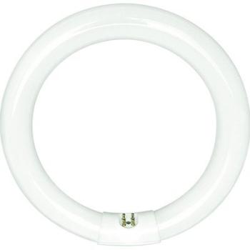 Circline G10Q