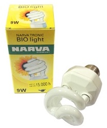 Ampoule 9W E27