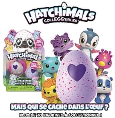 Pack de 2 Hatchimals (modèle aléatoire)