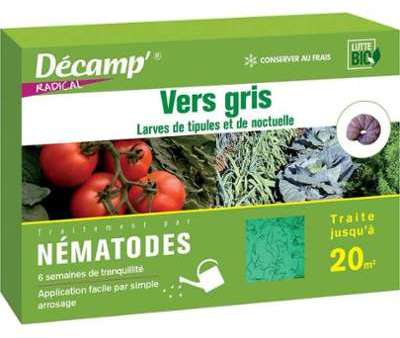 Nématodes contre les vers gris ( noctuelle / tipul