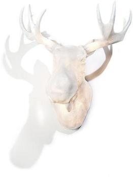 MOO - APPLIQUE NORTHERN LIGHTING