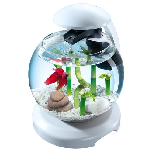 Tetra - Aquarium Cascade Globe Blanche avec Filtra