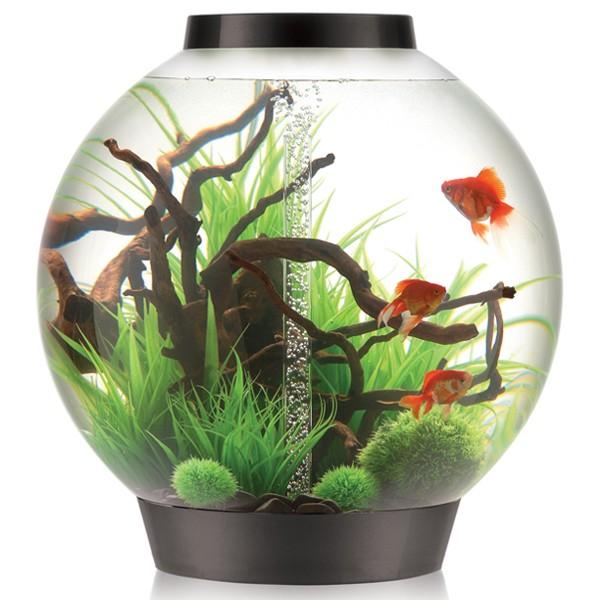 Aquarium BiOrb 105 Black éclairage LED multicolore