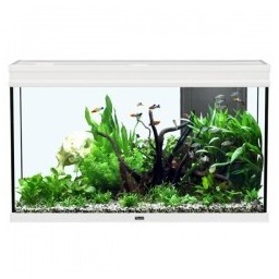 AQUARIUM 248 LITRES ELEGANCE EXPERT LED