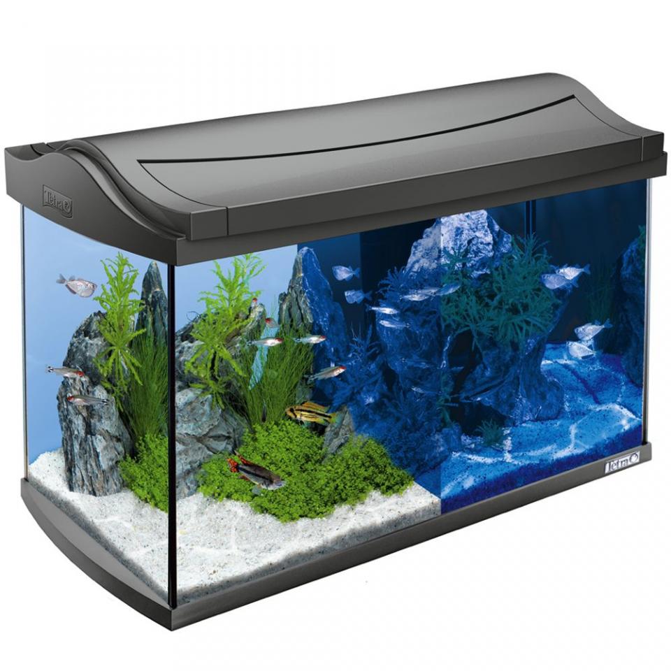Kit complet Aquarium Tetra AquaArt LED 60 L - anth