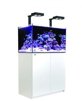 Aquarium Red Sea Reefer Deluxe 250 (Meuble Inclus) Aquarium Red Sea Reefer Deluxe